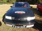 Thumbnail Photo 1 for 1991 Chevrolet Lumina